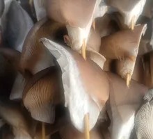 Mushroom Stir-fry
