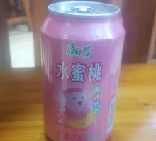 Watermelon Peach Can