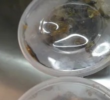Crispy Pot