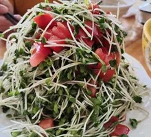 Mixed Radish Sprouts