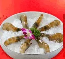 Fresh Sea Shrimp