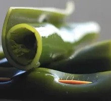 Hot-Brined Kelp