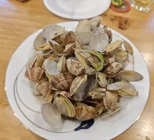 Hongdao Clam