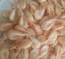 Baby Shrimp
