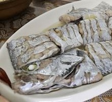 Knife Fish