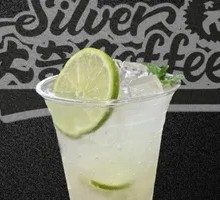 Mint Lemon Sparkling Water