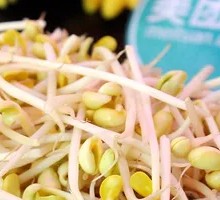 Mung Bean Sprouts