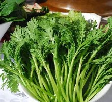 Chinese chrysanthemum greens