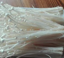 Enoki Mushroom