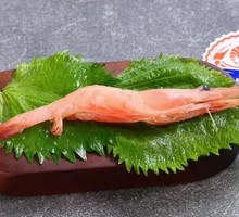 Sweet Shrimp Sashimi