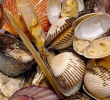 Seafood Platter
