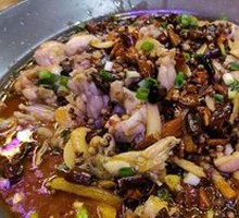 跳水牛蛙