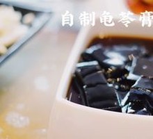 Nourishing Turtle Jelly