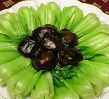 Chinese cabbage
