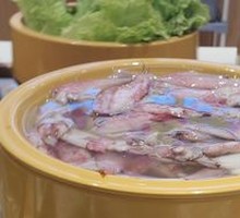 Squid