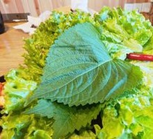 Perilla Leaf