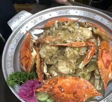 Spider Crab
