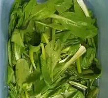 Bok choy