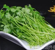 Cilantro