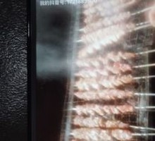 Grilled Heart Meat
