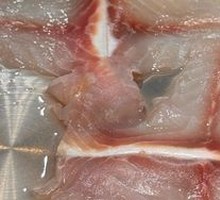 Fresh Black Fish Slices