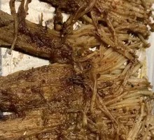 Grilled Enoki Mushrooms