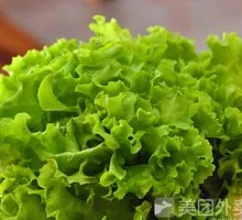 Lettuce