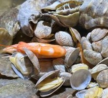 Steamed Seafood Platter