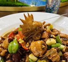 Stir-Fried Langya Free-Range Chicken