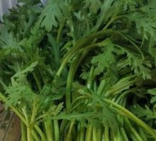 Chinese chrysanthemum greens