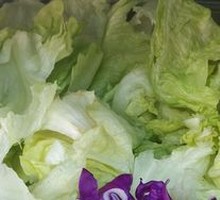 Lettuce Globe