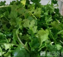 Cilantro