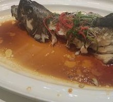 Steamed Grouper
