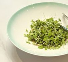 Cold Dish