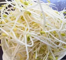 Bean sprouts