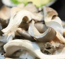Enoki Mushroom