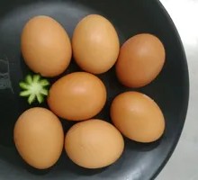 Fried Egg