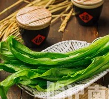 Oilseed lettuce