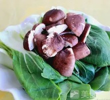 Shiitake Mushroom