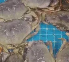 Seafood Grilling