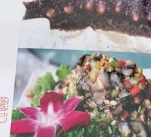 Mixed Live Sea Cucumber