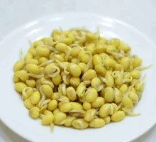 Yellow Bean Sprouts