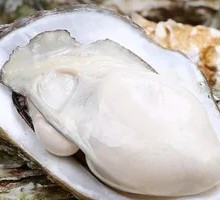 Fresh Oysters