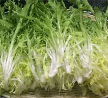 Eruca Salad