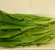 Oilseed lettuce