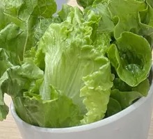 Lettuce