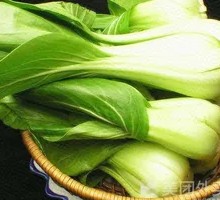 Chinese cabbage