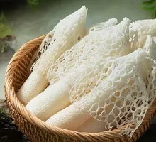 Bamboo Mushroom
