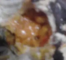 Female Crab
