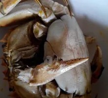 Crab Roe Dish